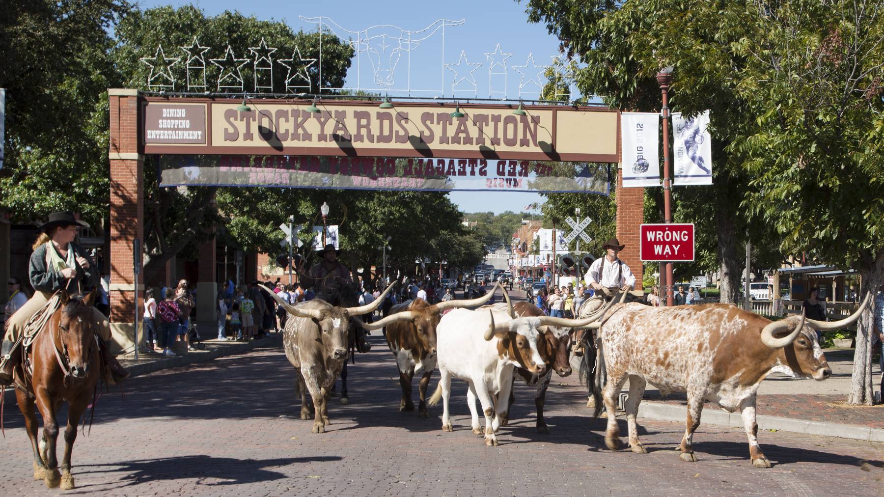 The Fort Worth Herd cattle drive on East Exchange Avenue -- longhorns and mounted drovers passing under the Stockyards Station arch, brick street, clear dayligh